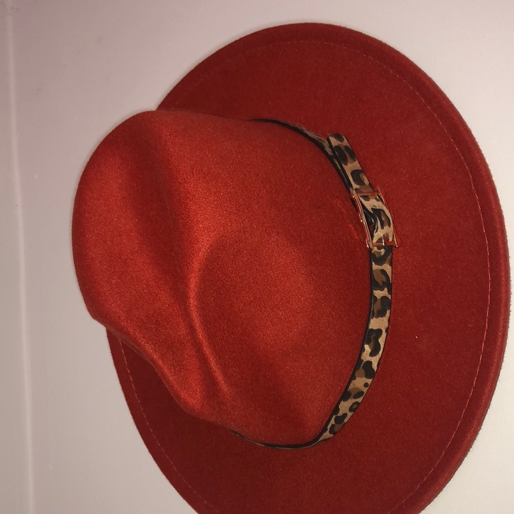 Hat - Picture 2 of 4